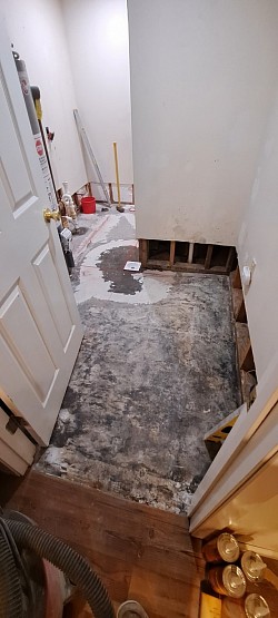 Floor drain reset and mold removed