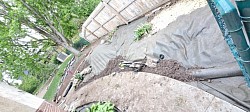 Garden revamp